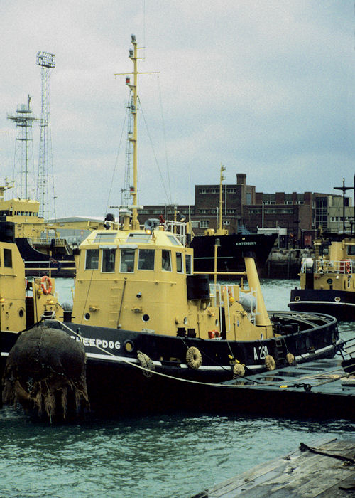 Photograph of the vessel RMAS Sheepdog pictured in Portsmouth Harbour on 15th January 1998