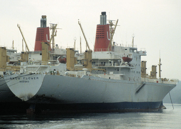 Photograph of the vessel  Snow Flower pictured laid up in the River Fal on 27th September 1997