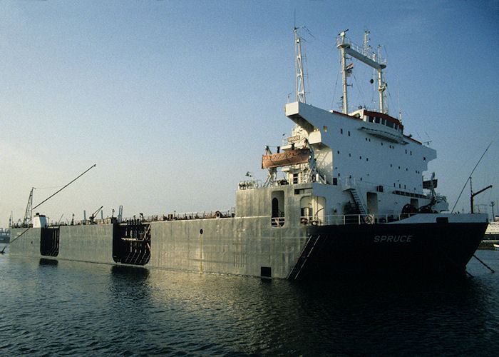 Photograph of the vessel  Spruce pictured in Waalhaven, Rotterdam on 27th September 1992