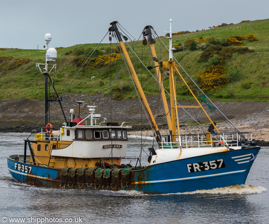 fv Susan Bird  pictured arriving at Aberdeen on 27th May 2019