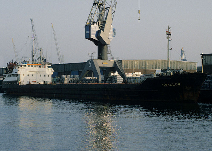 Photograph of the vessel  Swallow pictured in Waalhaven, Rotterdam on 27th September 1992