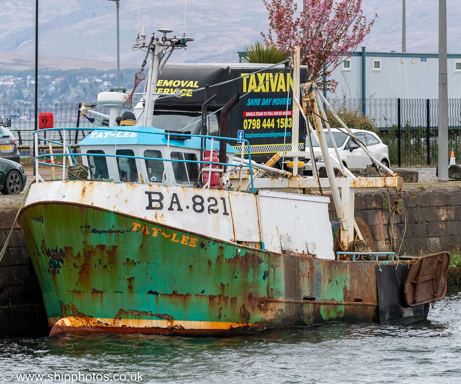 Photograph of the vessel fv Tay-Lee pictured in Victoria Harbour, Greenock on 19th April 2025