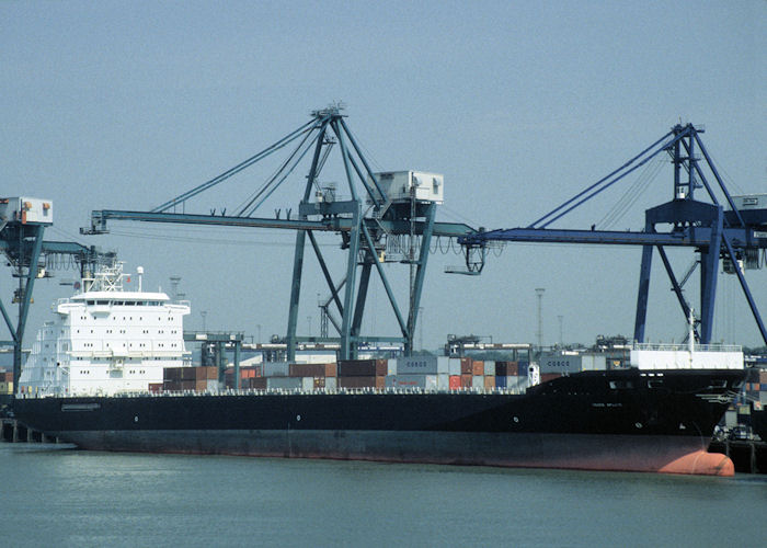 Photograph of the vessel  Trade Apollo pictured at Felixstowe on 10th June 1997