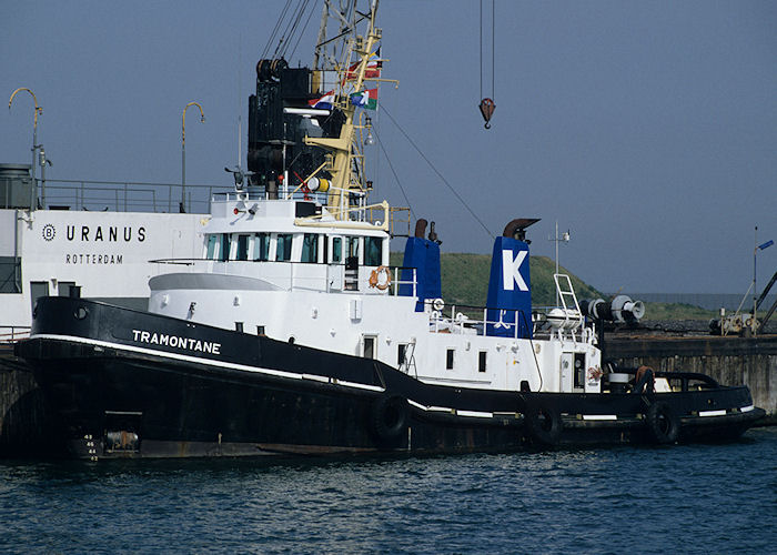 Photograph of the vessel  Tramontane pictured in Tennesseehaven, Europoort on 27th September 1992