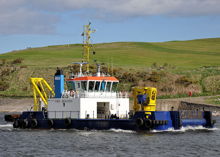  UKD Sealion pictured at Aberdeen on 13th May 2013