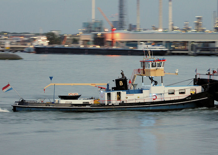 Photograph of the vessel  Vitalite pictured passing Vlaardingen on 20th June 2010