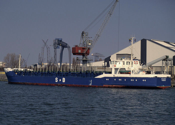 Photograph of the vessel  Wahlstedt pictured on the Nieuwe Maas at Rotterdam on 14th April 1996