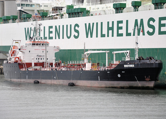 Photograph of the vessel  Whitonia pictured in Southampton Docks on 6th August 2011