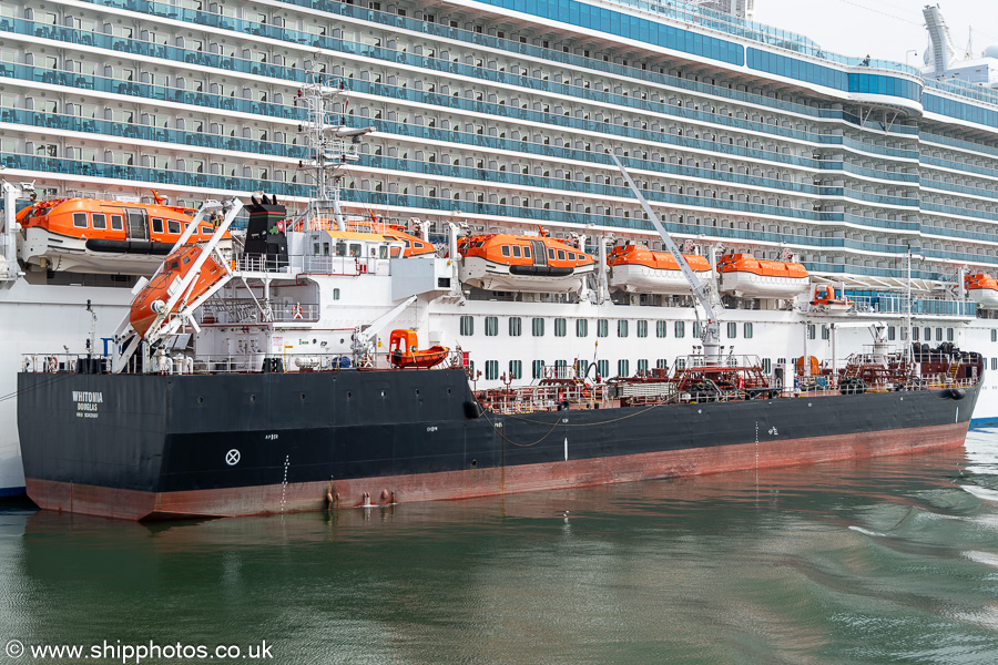 Photograph of the vessel  Whitonia pictured at Southampton on 26th April 2025