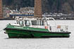 Cormorant