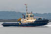 Svitzer London